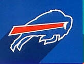 Team logo 1